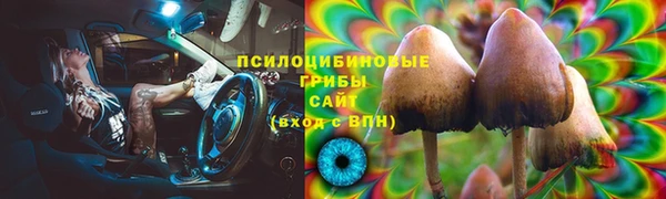 амф Гусь-Хрустальный